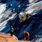 From Cusco Rainbow Mountain Tour with Late Departure and Buffet Lunch